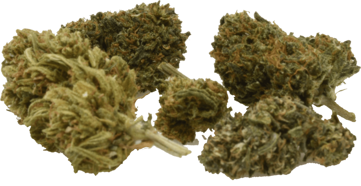 3.5 grams CBD Flower - Image 2
